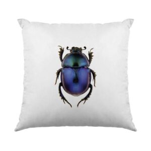 Blue Beetle Cushion Front